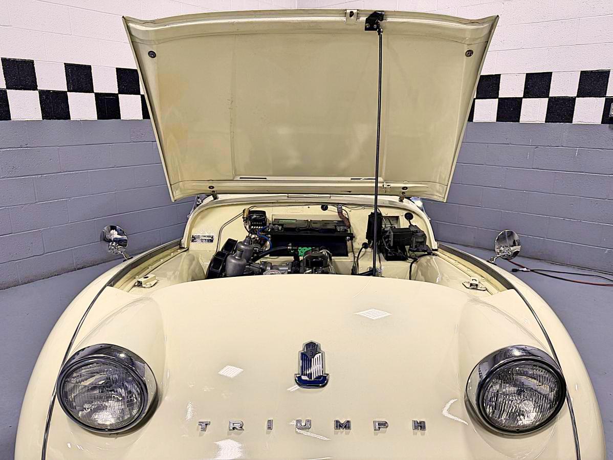 IMG 4485 Fotor Fotor