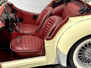 IMG 4542(2) Copy Fotor