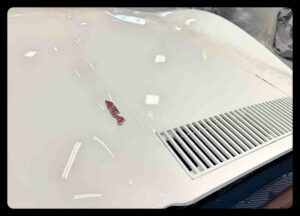 IMG 7542 Fotor